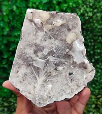 Natural Rare Scolecite, Apophyllite & Stilbite on Chalcedony Minerals #E391 picture
