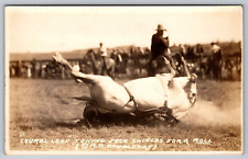 Postcard 1930s Photo by Doubleday White Rodeo Horse Rolls on Cowboy A18 picture