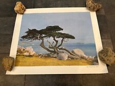 California CA Monterey Peninsula Rocky Shore Cypress Trees Lithograph Vintage picture
