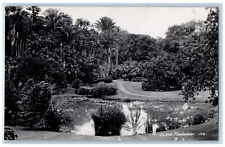 Garut Indonesia Postcard s'Lands Plantentuin c1910 Antique RPPC Photo picture