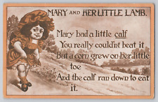 Postcard Mary and her little calf... Humor c 1909? picture