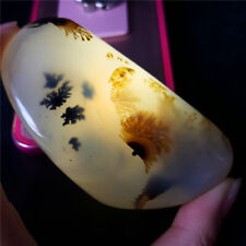 TOP 163G Natural Polished Aquatic Plants Agate Crystal Madagascar YN270 picture