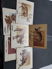 1951 Topps Animals of the World - 6 Card Lot picture