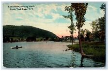 c1914 East Shore looking North Little York Lake New York NY Vintage Postcard picture