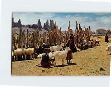Postcard In Picturesque Navajoland picture