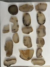 really old yellowstone Montana Moss  & Banded Agate Slab Lot 15 slabs d picture