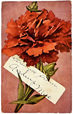 Antique Postcard 1907-1912 Red Carnation GREETINGS FROM ANDING MISSISSIPPI picture