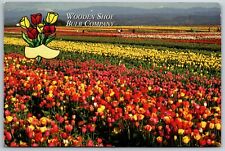 Wooden Shoe Bulb Company Field of Tulips Advertising Woodburn OR 6x4  Postcard picture