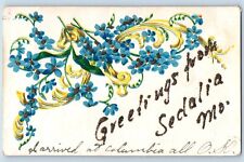 Sedalia Missouri MO Postcard Greetings Glitter Blue Flowers 1905 Vintage Antique picture