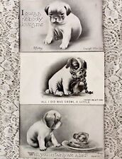 LOT OF 3 VINTAGE V. COLBY DOG POSTCARDS 1906, 1909 picture
