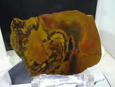 AMAZING KALEIDOSCOPE JASPER SLAB GORGEOUS BRIGHT COLORS AND DESIGNS WOW picture
