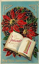 1913 January 1st Happy New Year Embossed Postcard Poinsettias Art Deco  picture