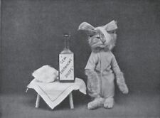 Black and White Photo Cat Kittens Feeling Sickly  8 x 10 Reprint  A-5 picture