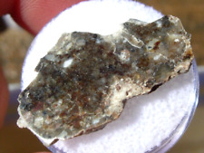 1.90 grams 28x15x2mm NWA 11182 Lunar Moon slice Meteorite feldsp. breccia + COA picture