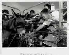 1989 Press Photo Children excitedly feeding donkeys - lra23069 picture