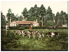 England, Camberley, Royal Staff College Drag Hounds Vintage Photochrome, pho picture