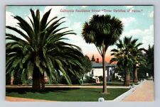 CA-California, Residential Street, Three Varieties of Palms, Vintage Postcard picture
