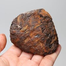 383g  Muonionalusta meteorite part slice C6848 picture