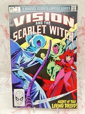 Vision and the Scarlet Witch #1 - 