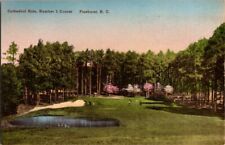 Vintage Pinehurst NC Golf Cathedral Hole Number 3 Course Hand Colored Postcard picture