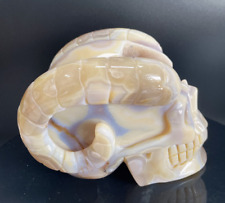 5.8'' Natural Agate Geode crystal gemstone Carved Skull Cluster Skeleton Healing picture
