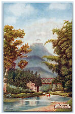 c1910 River & Mountain Scene, Ceylon Adam's Peak Oilette Art Tuck Postcard picture