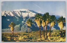 Palm Springs California, Mount San Jacinto Coachella Valley, Vintage Postcard picture