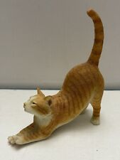 Ginger Orange Striped Cat Stretching with Tail Up 5