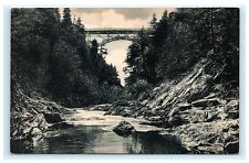 Dewey’s at Quechee Gorge Vermont Postcard Albertype Co. Unused  picture