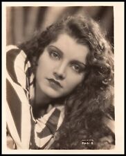 Hollywood Beauty PEGGY SHANNON STYLISH POSE 1930s STUNNING PORTRAIT Photo 746 picture