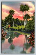 In Lakes & Rivers Crystal Clear Come to Florida Vintage Linen Postcard 1680 picture