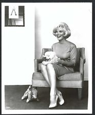 HOLLYWOOD MARILYN MONROE ACTRESS SITTING WITH PUPPY VINTAGE ORIGINAL PHOTO picture