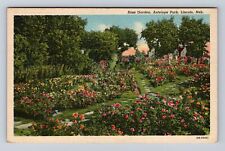 Lincoln NE-Nebraska, Antelope Park Rose Garden, Antique Vintage Postcard picture