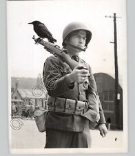British Army Private with PET CROW on Barrel of Rifle 1943 ORIGINAL Press Photo picture