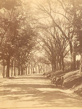 1870s Beacon Street Mall Boston Common Park MA Stereoview Albumen Photo picture