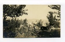 Syracuse NE Otoe County RPPC photo postcard, Famers, Wagon, Potatoes picture