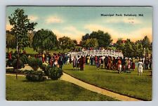 Salisbury MD-Maryland, Municipal Park, Antique Vintage c1941 Souvenir Postcard picture