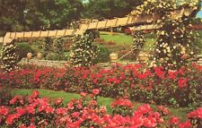 Postcard Hershey Rose Garden and Arboretum Flowers Sunken Garden picture
