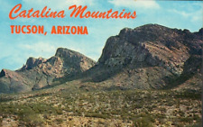 Catalina Mountains Tucson Arizona AZ Petley Card Vintage Postcard picture