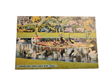 Postcard Vintage Flamingo Pond Parrot jungle Miami FL  A71 picture