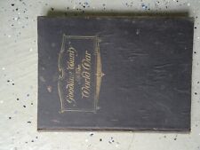 ANTIQUE WW1 BOOK Goodhue County MN picture