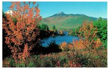 Mt Chocorua NH Albany New Hampshire UNP Chrome New England Fall Foliage Postcard picture