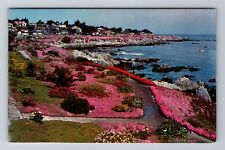 Pacific Grove CA-California, Lover's Point Monterey Peninsula, Vintage Postcard picture