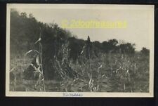 Rppc Corn Shocks Kansas Farm Field 1910 Agriculture Farming Old Postcard Real Ph picture