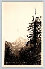 RPPC Flag Peak H.E.R.R. Washington AZO 1918-1930 VTG Postcard 1451 picture