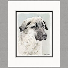 Anatolian Shepherd Dog Original Art Print 8x10 Matted to 11x14 picture