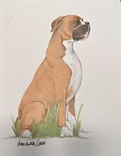 Boxer  Original Watercolor by Sandra Coen  Sitting in Grass picture