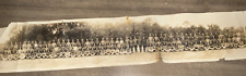 Antique WWI 1918 US ARMY Field Remount Squadront 331, Camp Joseph Johnston, FL picture