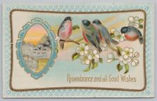 Winsch Back~Remembrance & All Good Wishes~Birds & White Flowers~PM 1911 Postcard picture