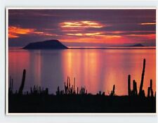 Postcard Sunset of the Sea of Cortez California USA picture